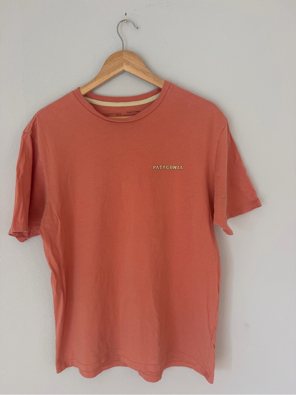 Patagonia Short Sleeve Organic Cotton Logo Tee